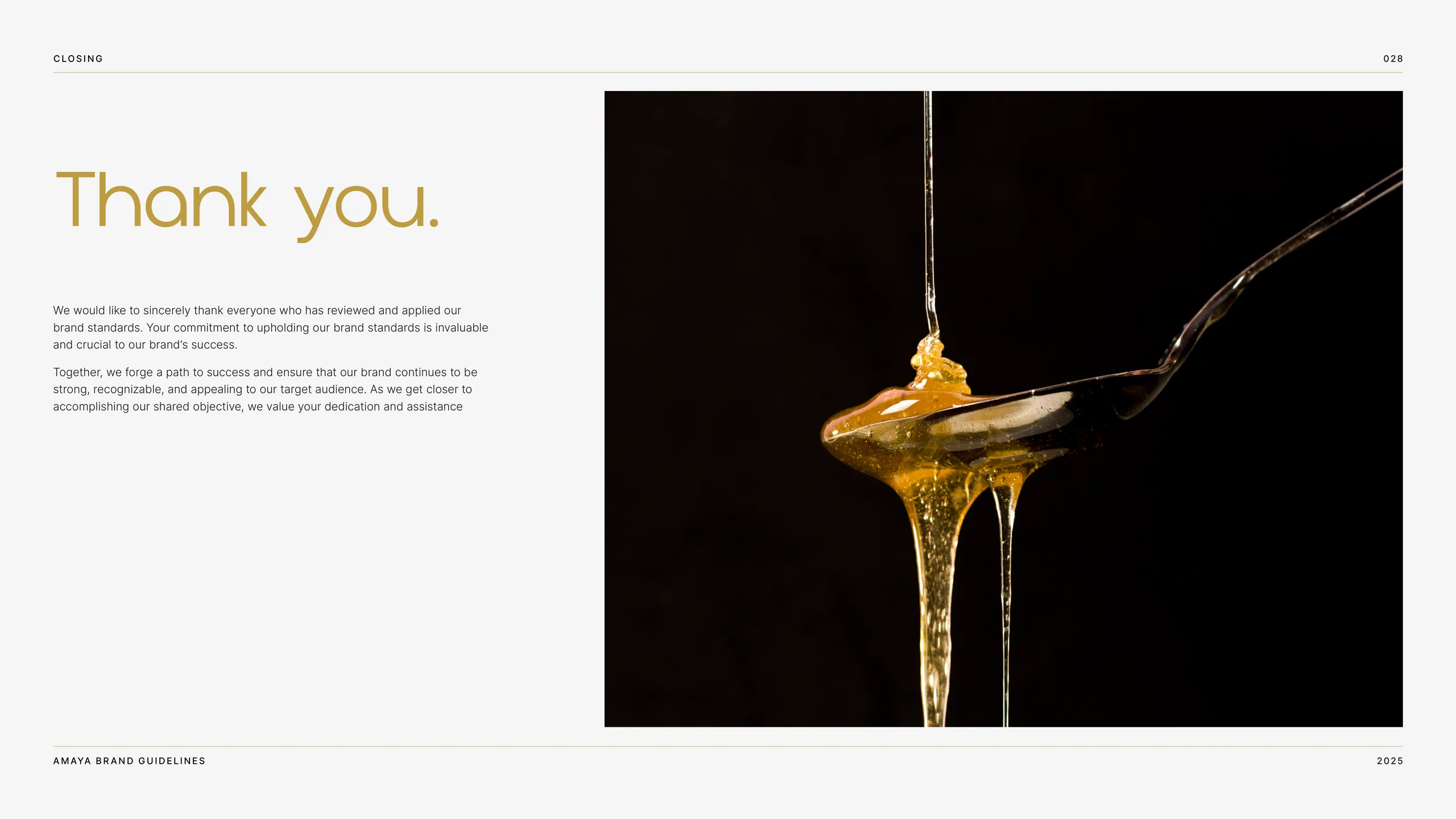 AMAYA brand identity 7